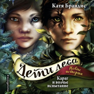 Обложка книги «Караг и волчье испытание»