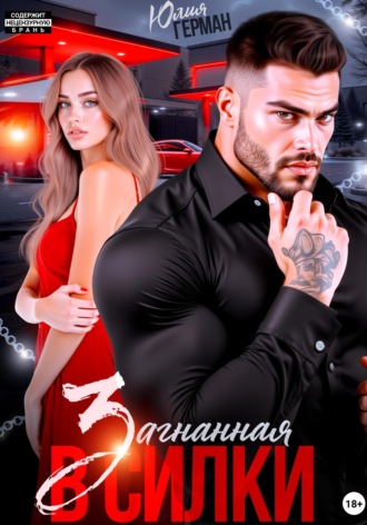 Обложка книги «Загнанная в силки»