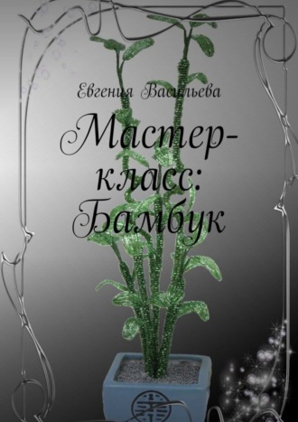 Евгения Васильева. Мастер-класс: бамбук