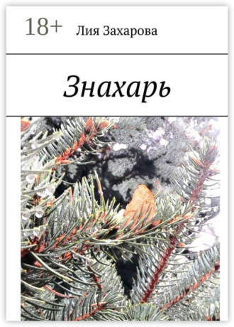 Обложка книги «Знахарь»