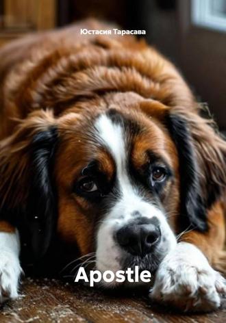 Обложка книги «Apostle»