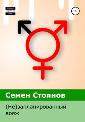 Обложка книги «(Не)запланированный вояж»