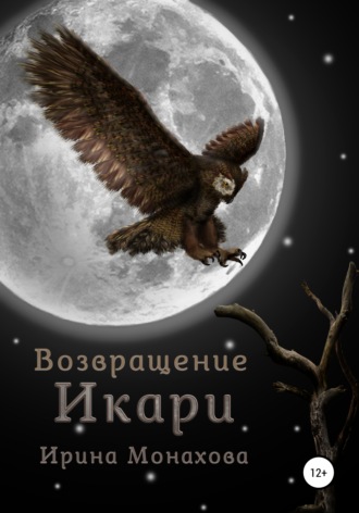 Обложка книги «Возвращение Икари»