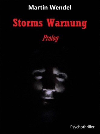 Martin Wendel. Storms Warnung