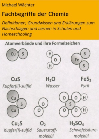 Michael W?chter. Fachbegriffe der Chemie