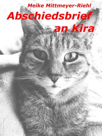 Meike Mittmeyer-Riehl. Abschiedsbrief an Kira