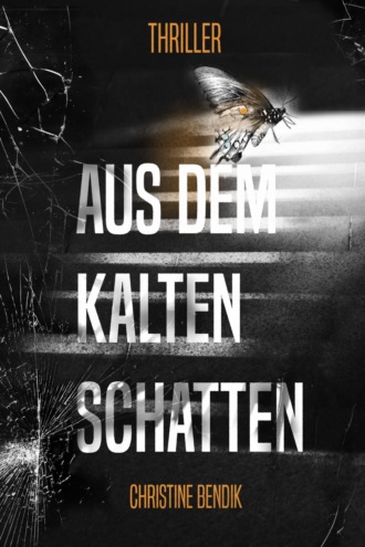 Christine Bendik. Aus dem kalten Schatten