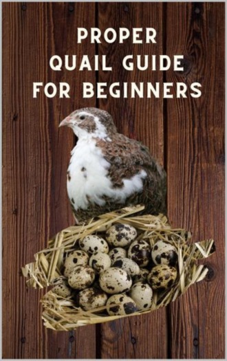 Thorsten Hawk. Proper Quail Guide for Beginners