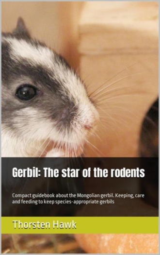 Thorsten Hawk. Gerbil: The star of the rodents