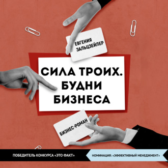 Обложка книги «Сила троих. Будни бизнеса»