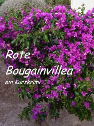 Lucy van Geldern. Rote Bougainvillea