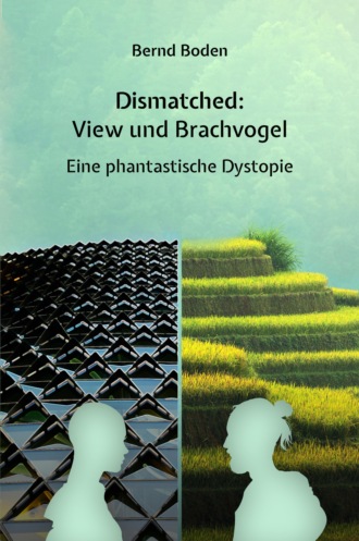 Bernd Boden. Dismatched: View und Brachvogel