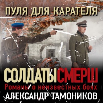 Обложка книги «Пуля для карателя»