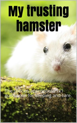 Thorsten Hawk. My trusting hamster