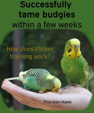 Thorsten Hawk. Successfully tame budgies within a few weeks