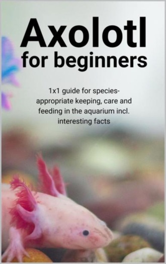 Thorsten Hawk. Axolotl for beginners