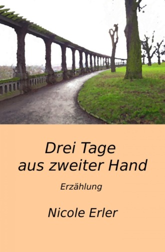 Nicole Erler. Drei Tage aus zweiter Hand