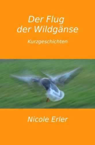 Nicole Erler. Der Flug der Wildg?nse