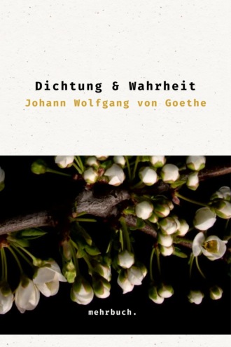 Johann Wolfgang von Goethe. Dichtung und Wahrheit