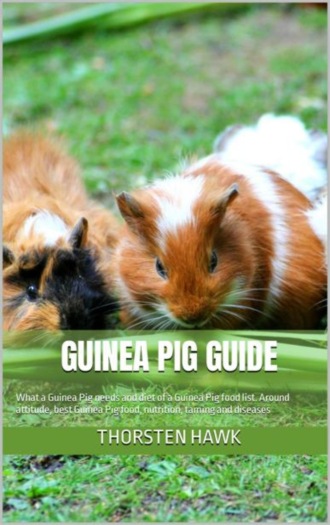 Thorsten Hawk. Guinea Pig Guide