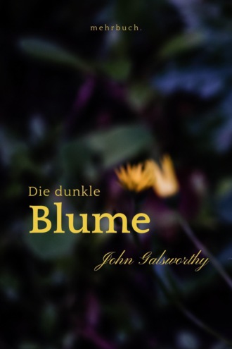 John Galsworthy. Die dunkle Blume