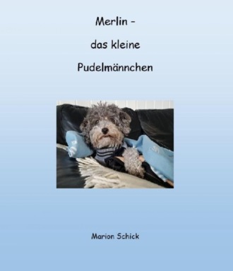 Marion Schick. Merlin - das kleine Pudelm?nnchen