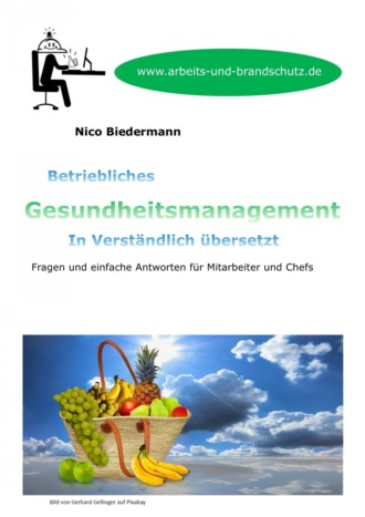 Nico Biedermann. Betriebliches Gesundheitsmanagement in Verst?ndlich ?bersetzt