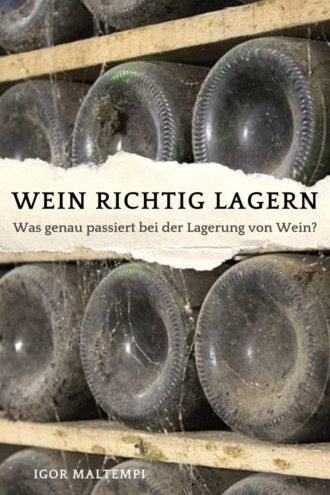 Igor Maltempi. Wein richtig lagern