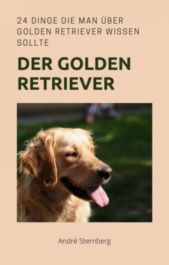 Andr? Sternberg. Golden Retriever