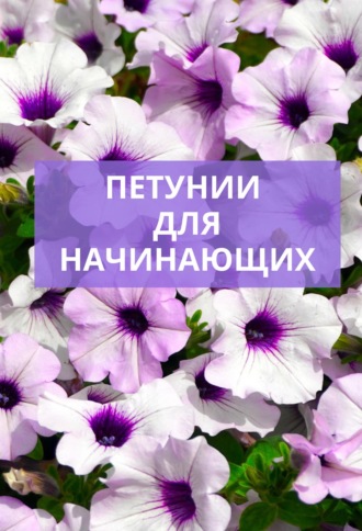 Обложка книги «Петунии для начинающих»