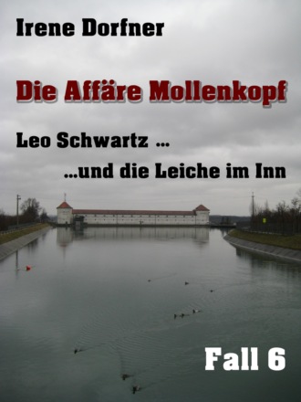 Irene Dorfner. Die Aff?re Mollenkopf