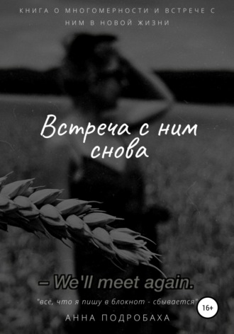 Обложка книги «Встреча с ним снова»