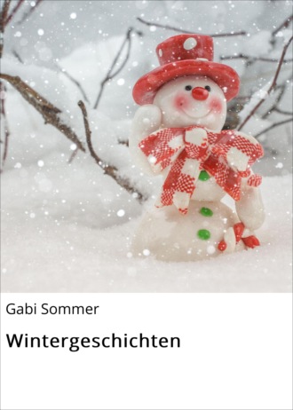 Gabi Sommer. Wintergeschichten