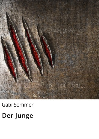 Gabi Sommer. Der Junge