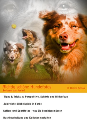 Helma Spona. Richtig sch?ne Hundefotos