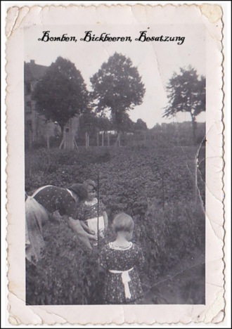 Helga Borchelt. Bomben, Bickbeeren, Besatzung