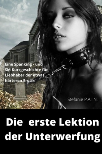 Stefanie P.A.I.N. Die erste Lektion der Unterwerfung