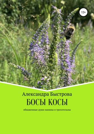 Обложка книги «БОСЫ КОСЫ. Маленькие эпизоды большого пути»