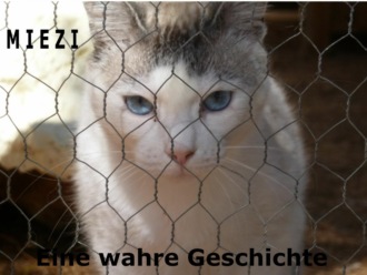 Judith Cramer. Miezi – Eine wahre Katzengeschichte