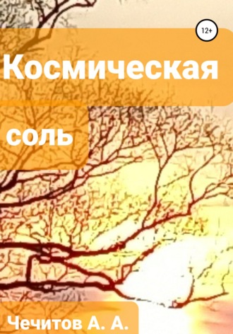 Обложка книги «Космическая соль»