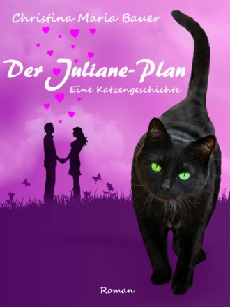 Christina Maria Bauer. Der Juliane-Plan