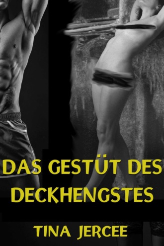 Tina Jercee. Das Gest?t des Deckhengstes