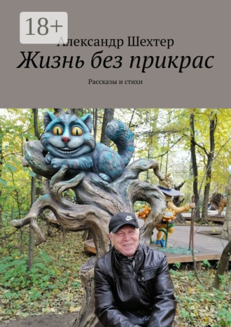Обложка книги «Жизнь без прикрас. Рассказы и стихи»