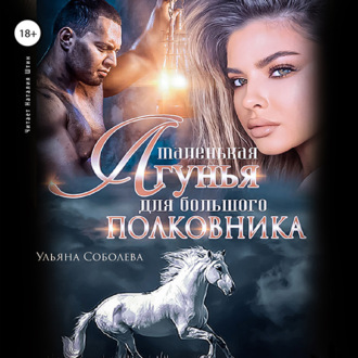 Обложка книги «Маленькая лгунья для большого полковника»