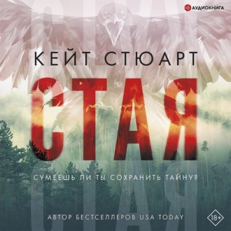 Обложка книги «Стая»
