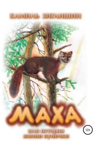 Обложка книги «Маха, или История жизни кунички»