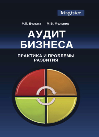 Р. П. Булыга. Аудит бизнеса. Практика и проблемы развития