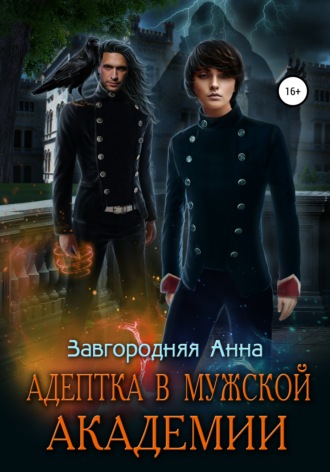 Обложка книги «Адептка в Мужской Академии»