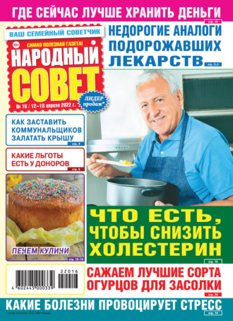 Обложка книги «Народный совет №16/2022»