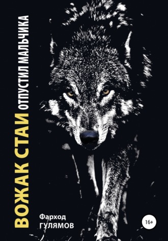 Обложка книги «Вожак стаи отпустил мальчика»